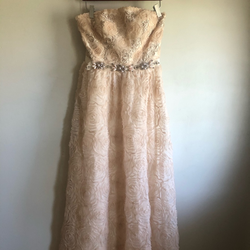 Adrianna Papell long dress